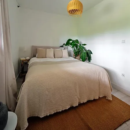 Aliga - 100 M Szabadstrand Apartment *
